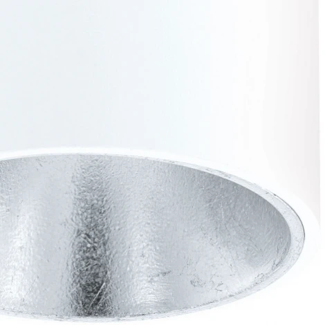 Потолочный светильник круглый Eglo Polasso 94504 (LED, 220V)