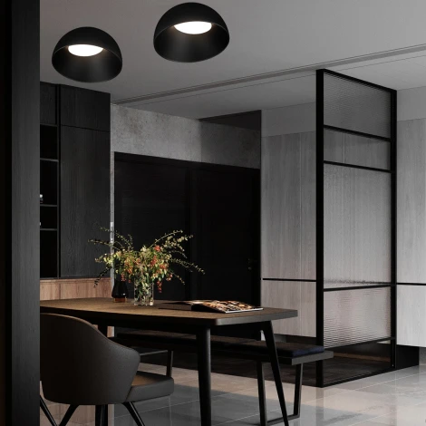 Потолочный светильник светодиодные Loft It Egg 10197/500 BB