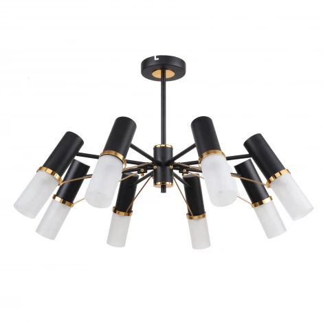 Потолочная люстра F-Promo Viator 2558-8P (220V)