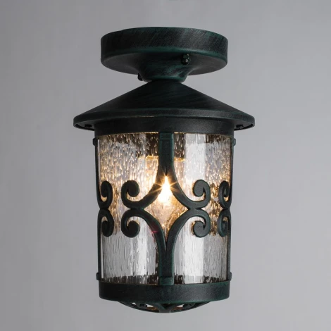 Потолочный светильник уличный Arte Lamp Persia A1453PF-1BG