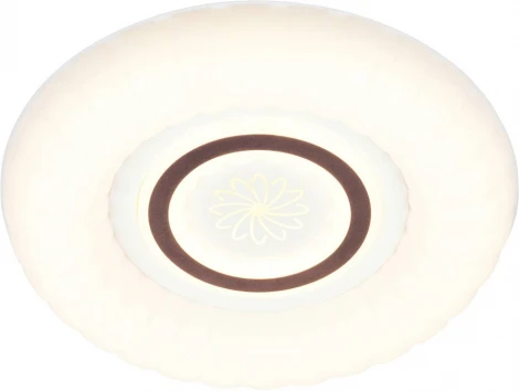 Настенно-потолочный светильник Мелодия Света CW1L 000024775