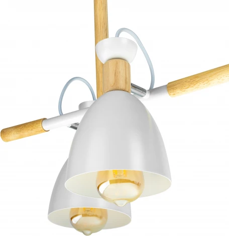 Потолочная люстра на штанге Ritter Volante 52501 1