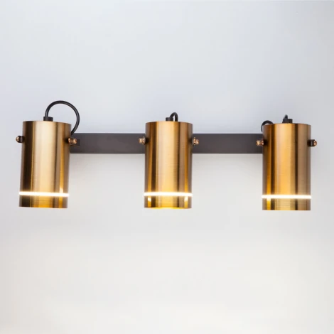 Спот Eurosvet Bronze 20063/3 LED античная бронза