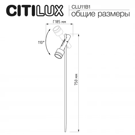 Грунтовый светильник Citilux Spotter CLU11B1