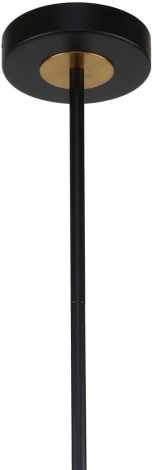 Потолочная люстра на штанге Vials 3090-6P F-Promo (220V, шарики)