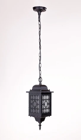 Уличный светильник подвесной Oasis Light 64805S Bl