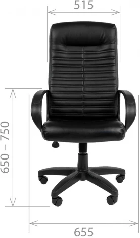 Компьютерное кресло CHAIRMAN 480 LT (Пластик,Экокожа/Черный)