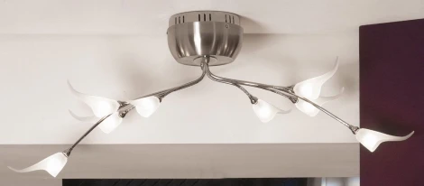 Потолочная люстра Lussole Roncobello LSA-0413-08