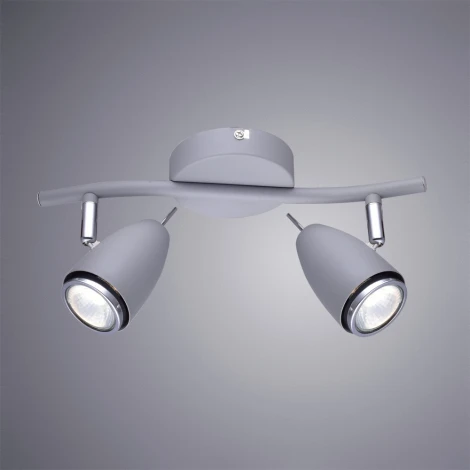 Спот на штанге Arte Lamp Regista A1966AP-2GY (220V, круглые)