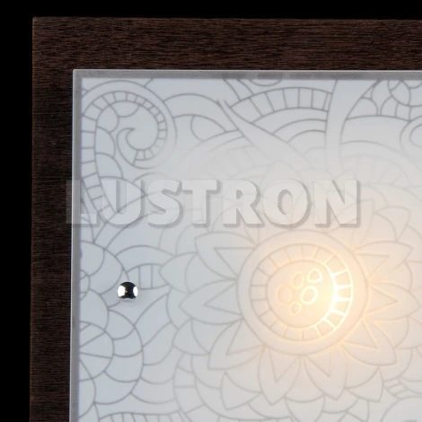Настенно-потолочный светильник Maytoni Geometry 3 CL812-01-R