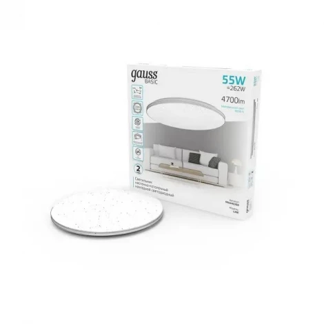 Настенно-потолочный светильник Gauss Basic Space Line 995440260