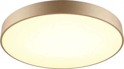 Потолочный светильник Virzhini APL.023.07.68