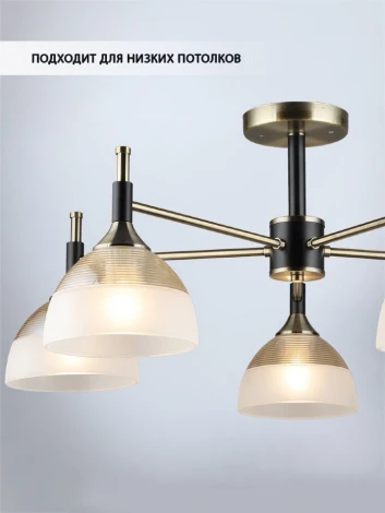 Потолочная люстра на штанге Wedo Light Olis WD3617/5C-AB-BK-WT