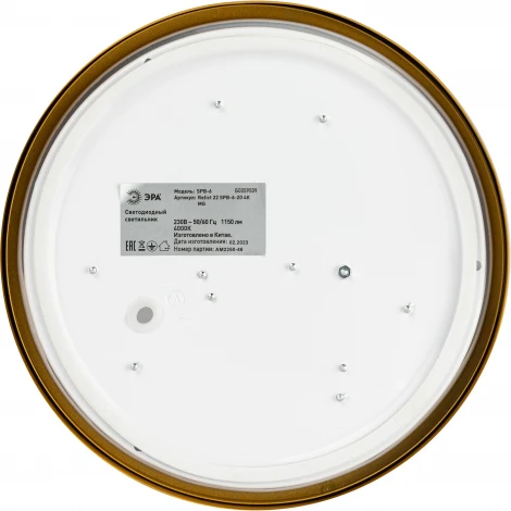 Потолочный светильник светодиодный ЭРА Relict 22 SPB-6-20 4К MG