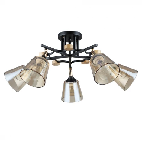Потолочная люстра Arte Lamp Glassy A5078PL-5BK (220V)