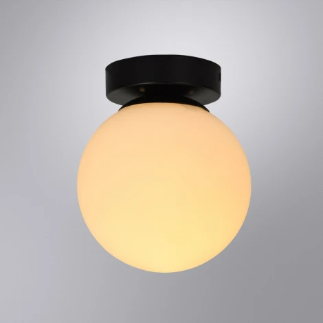 Настенно-потолочный светильник Arte Lamp Alcor A2224PL-1BK