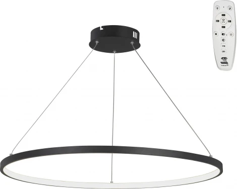 Подвесной светильник с ПДУ светодиодный LED 54Вт, 2700-6500К Vitaluce V2516DT-1/1S кольцо (220V, на тросе, кольцо)