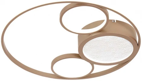 Потолочный светильник круглый F-Promo Campus 4681-4C (LED, 220V)