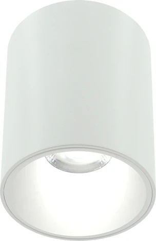 Накладной светильник Lightera Shamrock LE200CL-1W (220V, круглые)