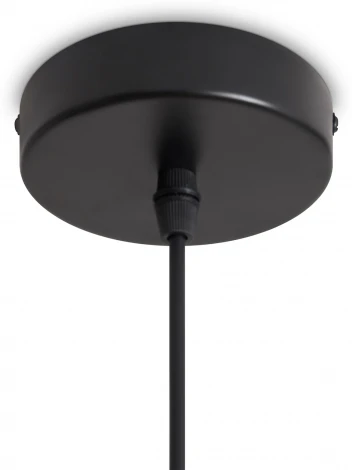 Подвесной светильник Freya Cocoon FR5529PL-01B (220V, на проводе)