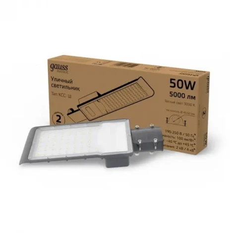 Уличный консольный светильник Gauss Avenue 629534150 (LED, 220V, IP65)