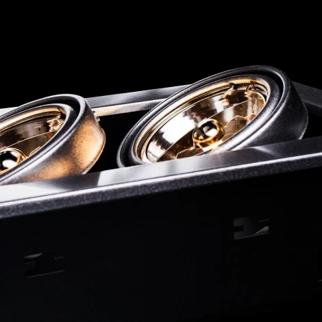 Встраиваемый точечный светильник Arte Lamp Cardani Medio A5930PL-2SI