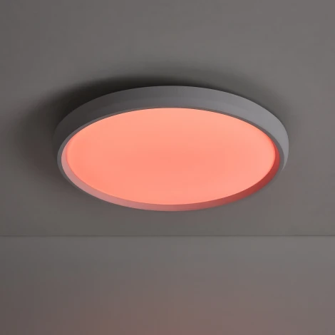 Потолочный светильник светодиодный Freya Obelle FR6211CL-L24W Obelle 24Вт LED