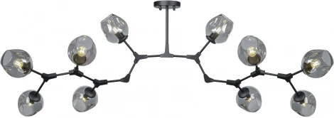 Потолочная люстра на штанге AM Group LOFT LOFT-10 BK (220V)