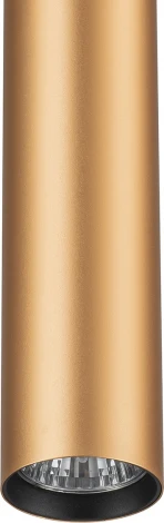 Трековый светильник однофазный Escada 20001 20001TRP/01 BR 1x50Вт GU10, металл, латунь матовая (220V, круглые)