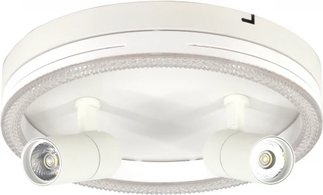 Настенно-потолочный светодиодный светильник Escada 20044LED 20044SMA/03LED WH 43Вт, металл/акрил, белый