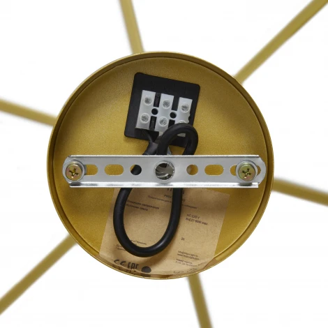 Потолочная люстра на штанга Freya Union FR5474PL-06G