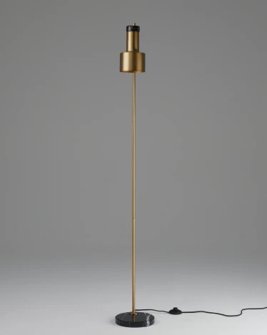 Торшер с выключателем Moderli Goldy V11310-1F (220V)