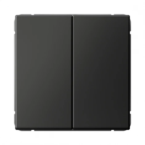Выключатель двухклавишный (базальт) Systeme Electric GAL001451S