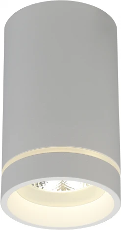 Накладной точечный светильник Aployt Edda APL.0054.09.10 (LED, 220V, круглые)