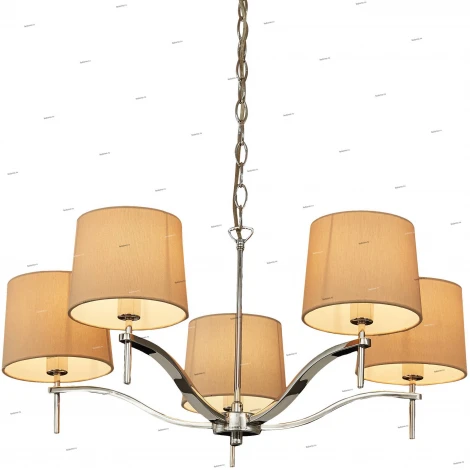 Подвесная люстра Divinare Soprano 1341/02 LM-5 (220V, на цепи)