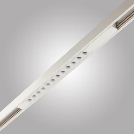 Трековый светильник Downlight светодиодный магнитный AM Group MAGNET GLASSES MAGNET AM508 WH 12W 3000K (48V)