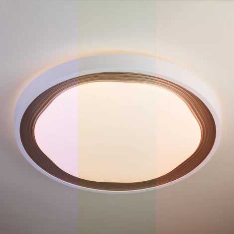 Потолочный светильник Elektrostandard Range 40006/1 LED кофе