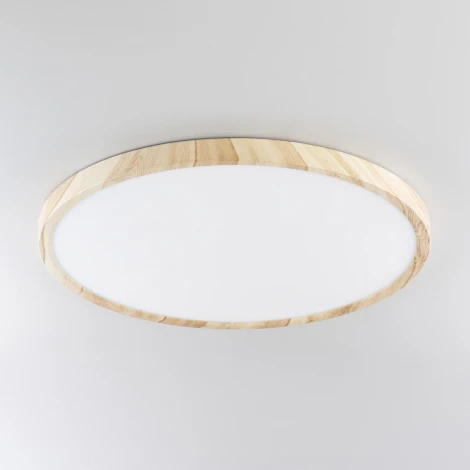 Настенно-потолочный светильник Citilux Бейсик CL738322V (регулировка яркости, LED, 220V, круглые, IP40)