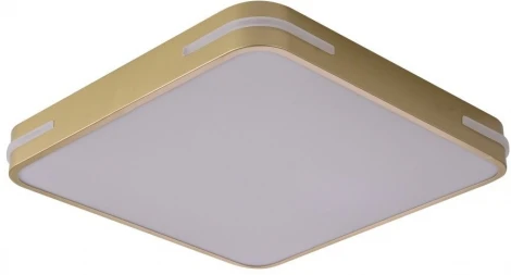 Потолочный светильник Zortes Gabby ZRS.1215.03 (LED, 220V)