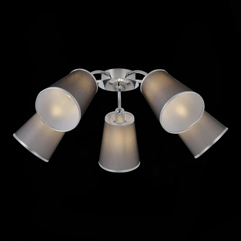 Потолочная люстра Evoluce Maleonte SLE103002-05