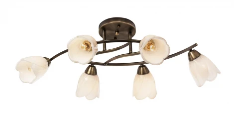 Потолочная люстра Silver Light Tvia 220.53.6