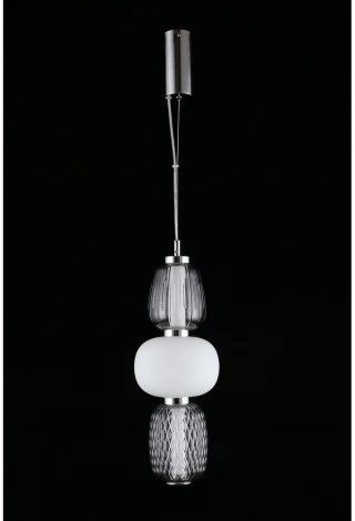 Подвесной светильник Aployt Oliwcia APL.319.06.29 (LED, 220V, на тросе)