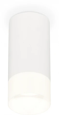 Накладной точечный светильник Ambrella Techno Spot XS8161003 (220V, круглые)