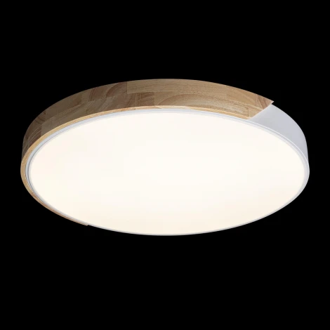 Потолочный светильник круглый Loft IT Axel 10004/36 White (LED, 220V, круглые)