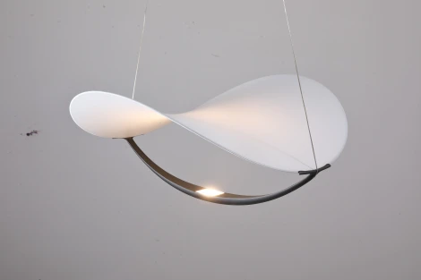 Подвесной светильник Zortes Quincy ZRS.1585.13