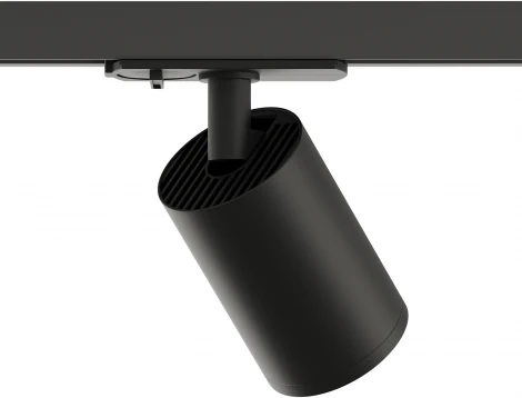 Трековый светильник Denkirs DK620 DK6201-BK (220V, круглые)