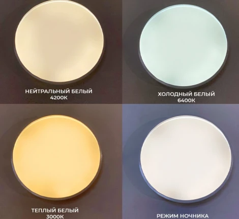 Потолочный светильник Seven Fires Эйри 48200.30.36.77WT