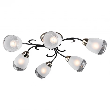 Потолочная люстра Lussole Lgo Oakland LSP-9952