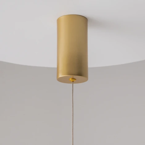 Подвесной светильник Ray 3000К 20Вт LED Maytoni Technical P022PL-L20G3K (220V, на проводе, круглые)