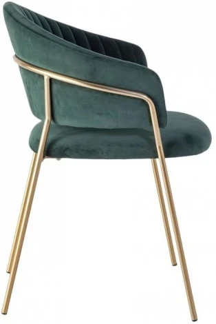 Набор из 2 стульев Whispered Enchantment Hesby (Металл/Велюр, Зеленый) арт.HSBI_DC114_green_2